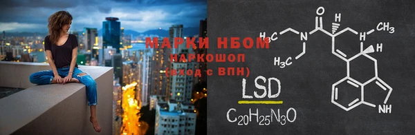 спиды Верея