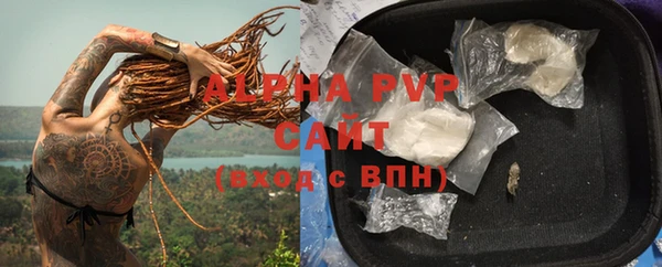 спиды Верея