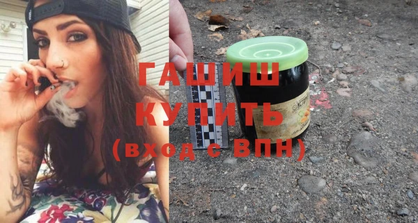 дмт Бородино