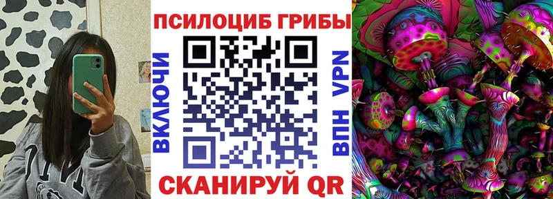 Галлюциногенные грибы Psilocybine cubensis  Грозный 